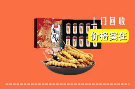 杭州市淳安回收冬虫夏草
